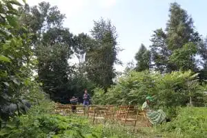 Onderwijs cursus stoelen in bos Utopia Eiland Floriade Weerwoud