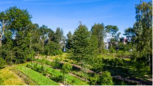 Overzicht agroforestry geheel landbouw agrarier Utopia Eiland Weerwoud Floriade