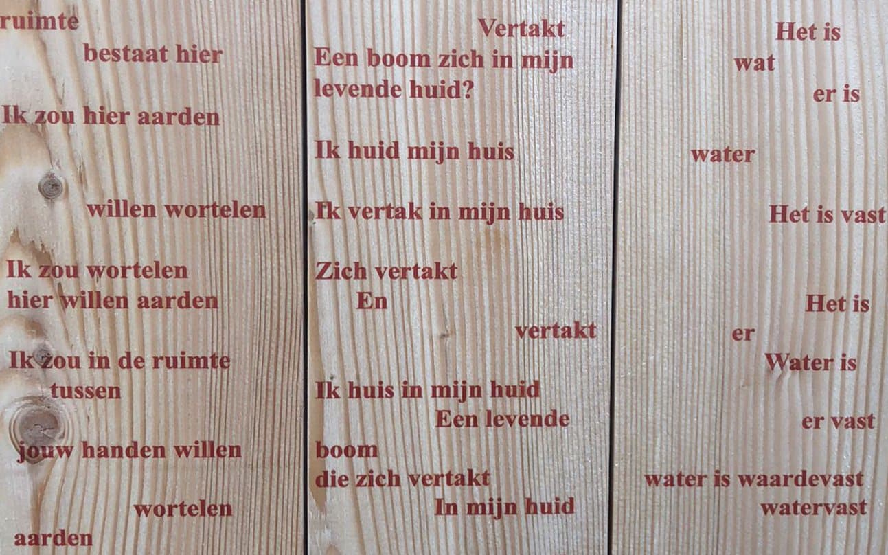 Sanne van Balen kunstwerk 1293px